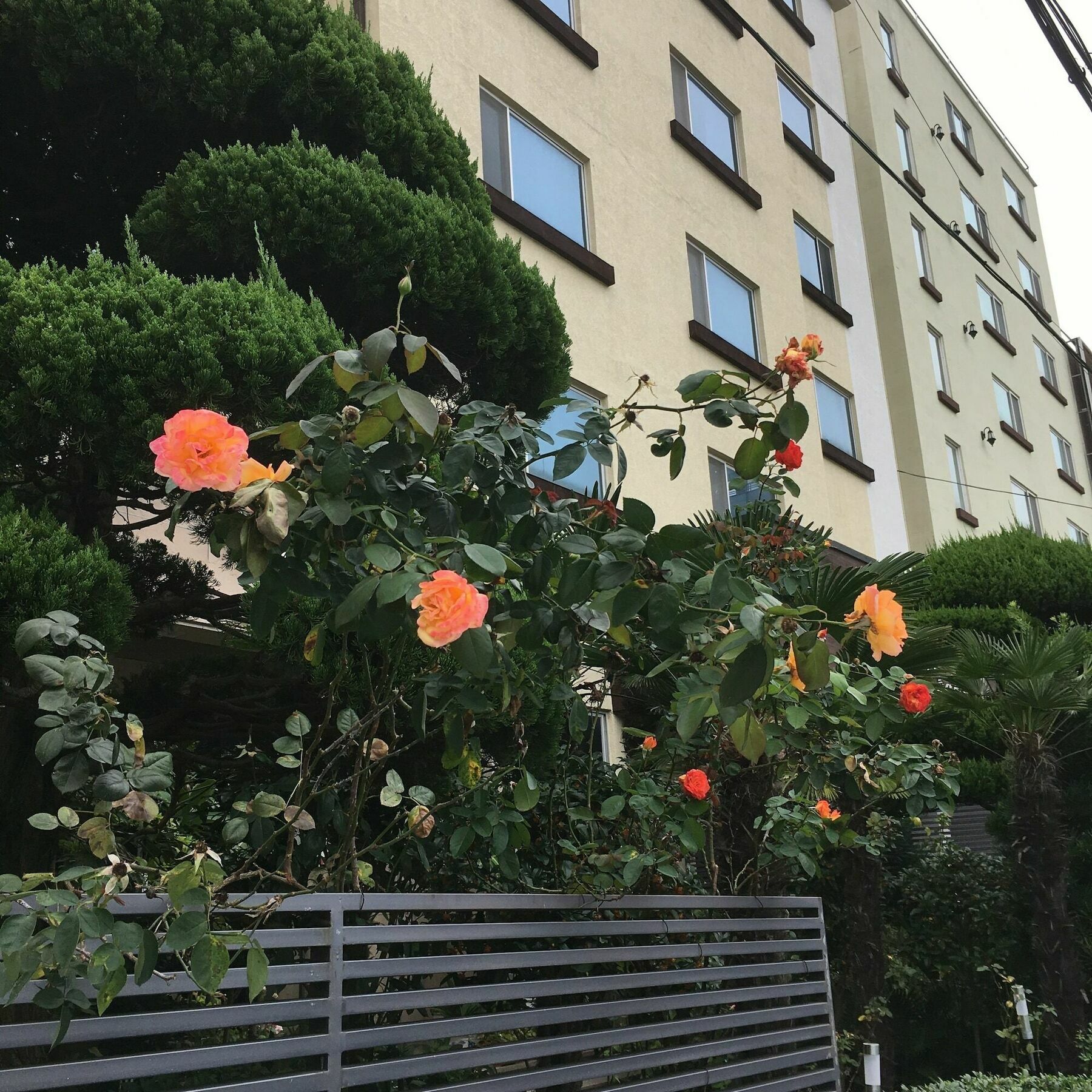 Charmant Hotel Mokpo Ngoại thất bức ảnh